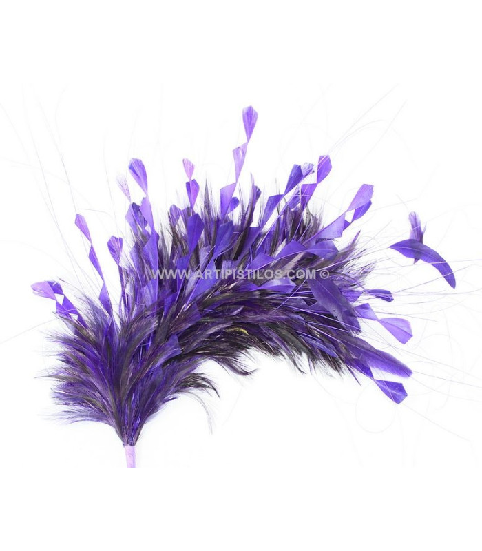 MONTAGE DE PLUMES