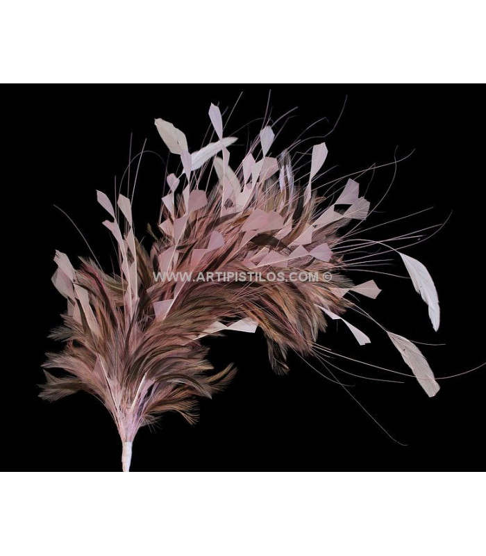 MONTAGE DE PLUMES
