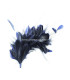 MONTAGE DE PLUMES 35 x 12 cm
