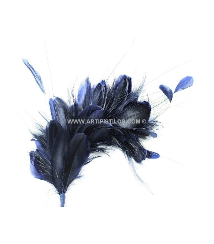 MONTAGE DE PLUMES 35 x 12 cm