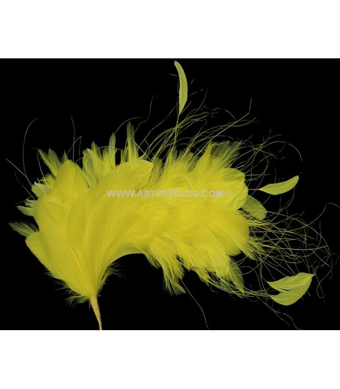 MONTAGE DE PLUMES 35 x 12 cm
