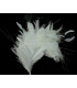 MONTAGE DE PLUMES 35 x 12 cm