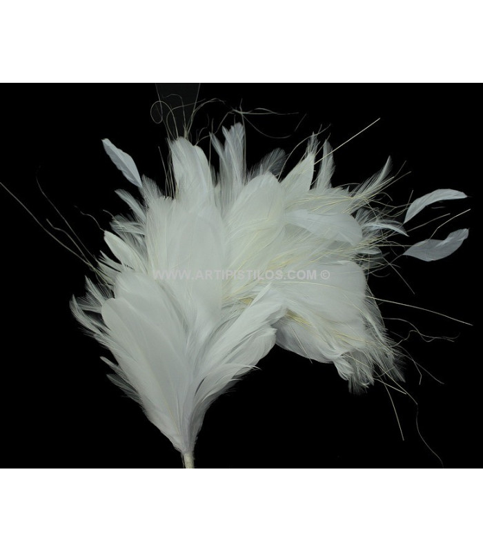 MONTAGE DE PLUMES 35 x 12 cm