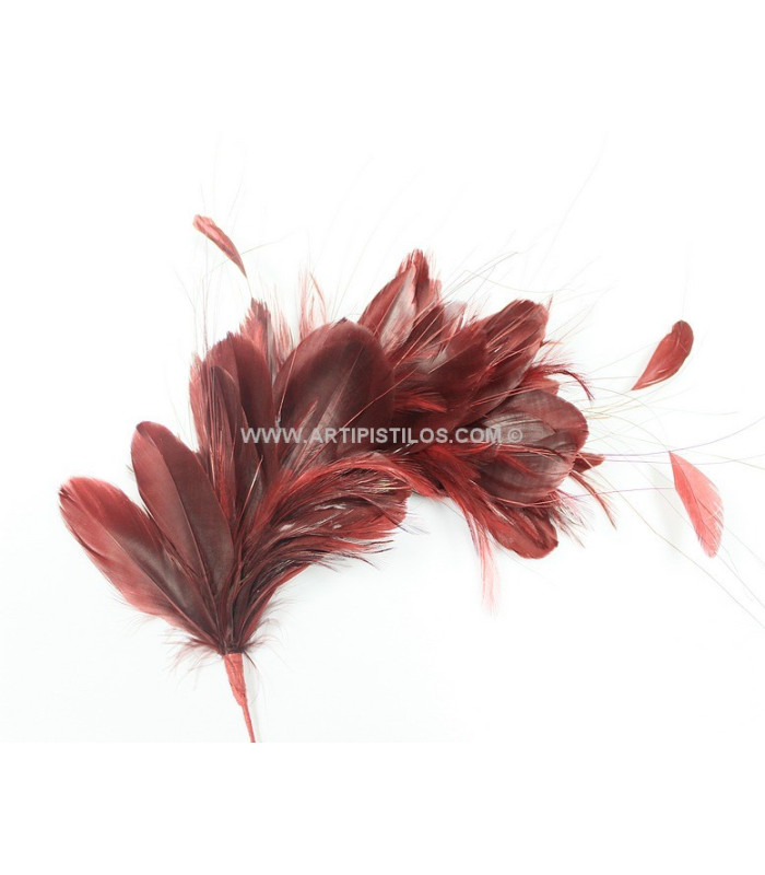 MONTAGE DE PLUMES 35 x 12 cm
