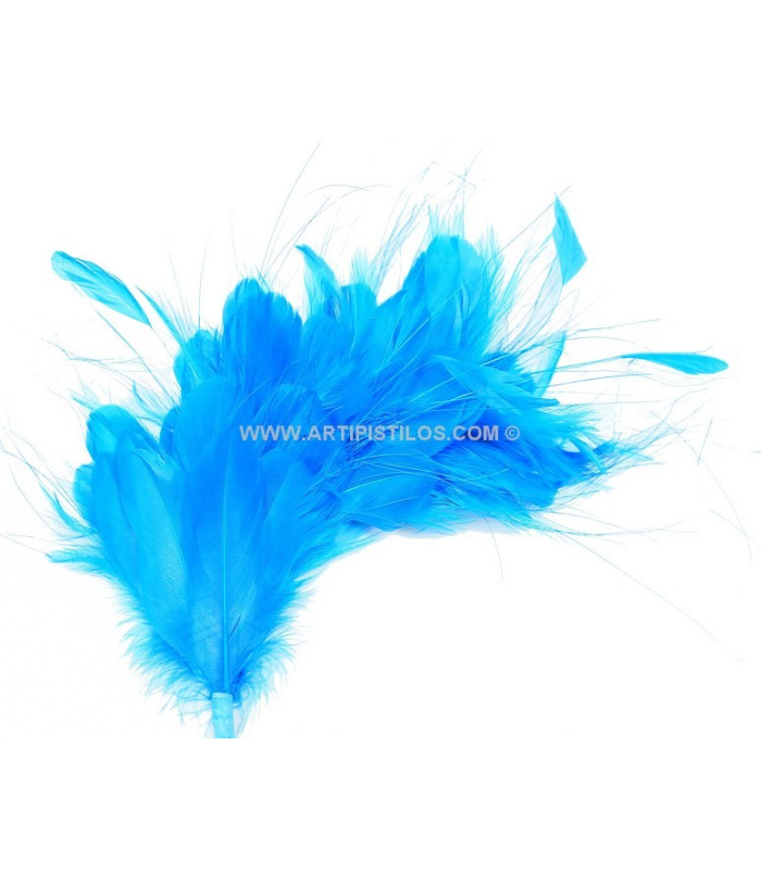 MONTAGE DE PLUMES 35 x 12 cm