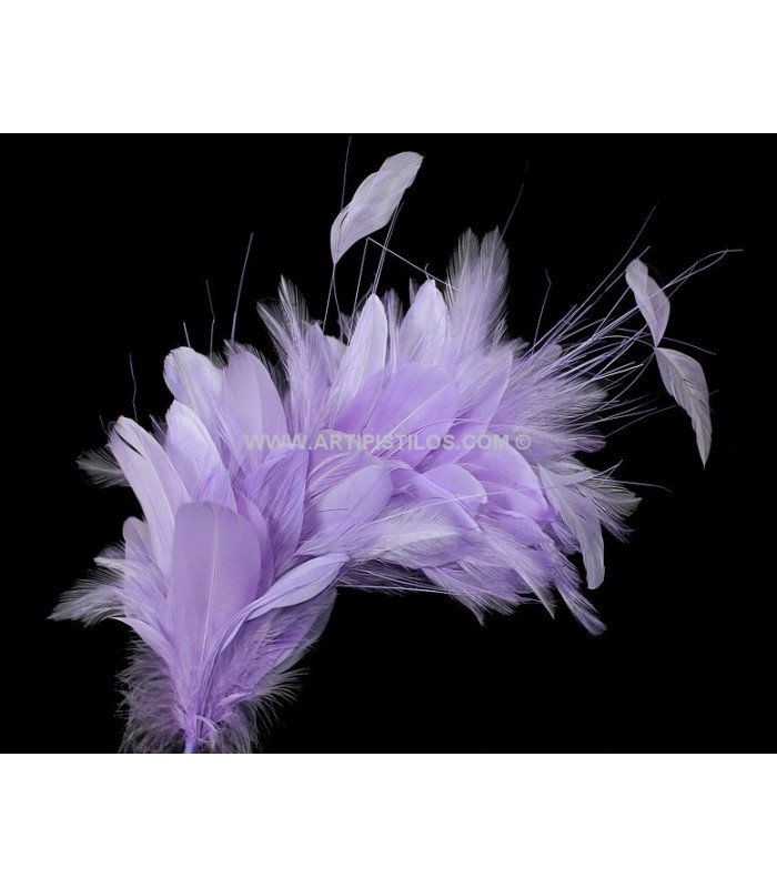 MONTAGE DE PLUMES 35 x 12 cm
