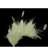 MONTAGE DE PLUMES 35 x 12 cm