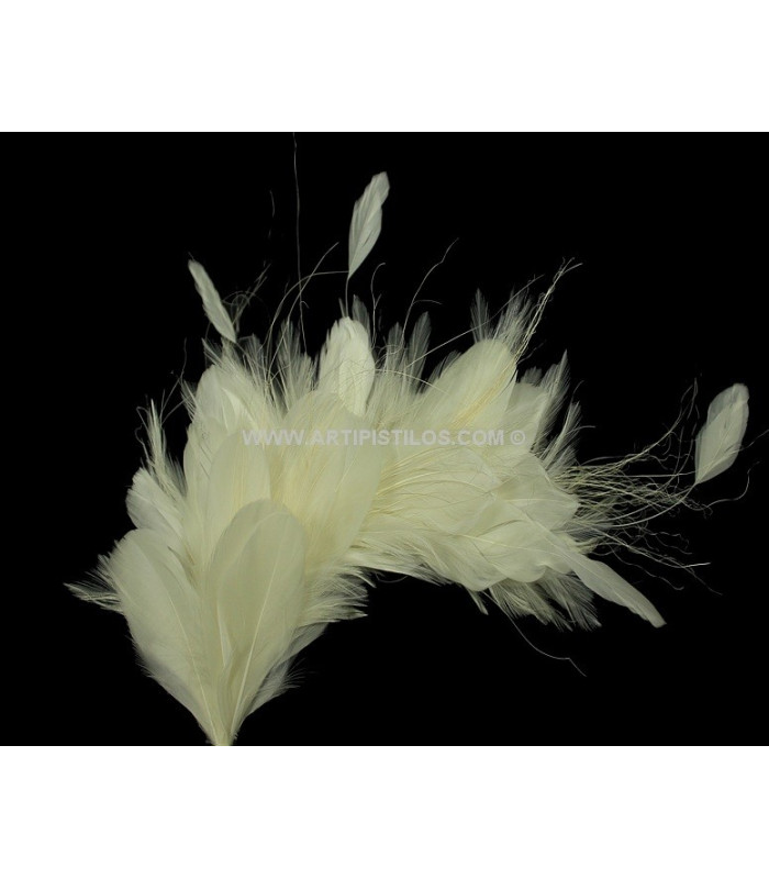 MONTAGE DE PLUMES 35 x 12 cm