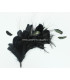 MONTAGE DE PLUMES 35 x 12 cm