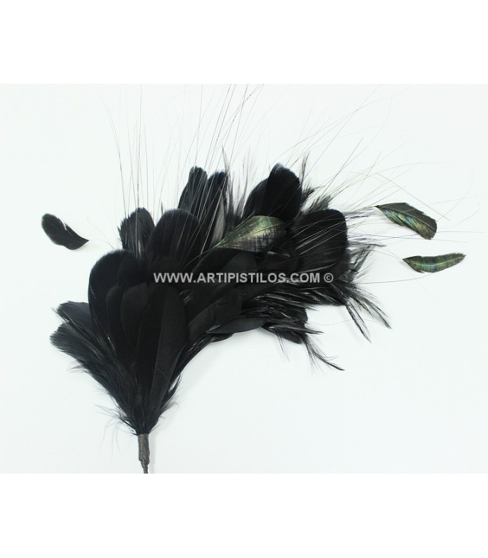 MONTAGE DE PLUMES 35 x 12 cm