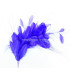MONTAGE DE PLUMES 35 x 12 cm