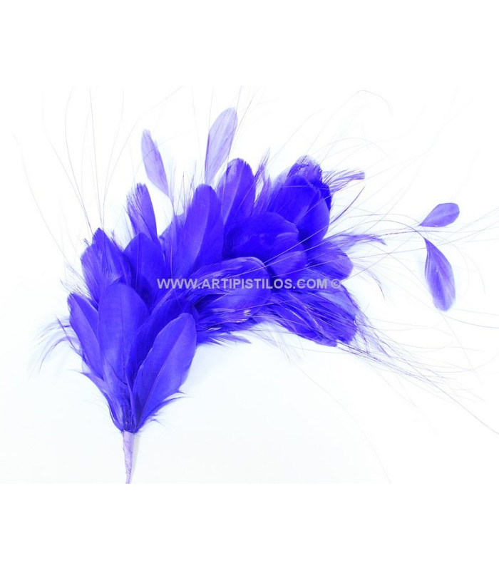 MONTAGE DE PLUMES 35 x 12 cm