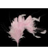 MONTAGE DE PLUMES 35 x 12 cm