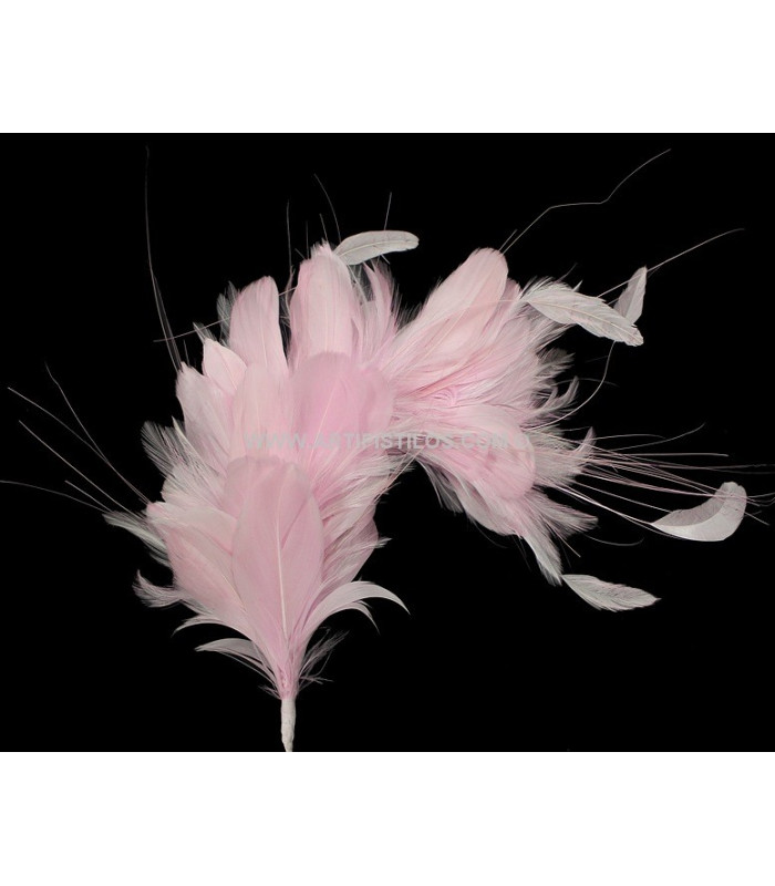 MONTAGE DE PLUMES 35 x 12 cm
