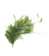 MONTAGE DE PLUMES 35 x 12 cm