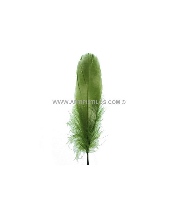 PLUME DE CANARD 15 CMS.