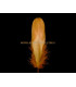 PLUME DE CANARD 15 CMS.