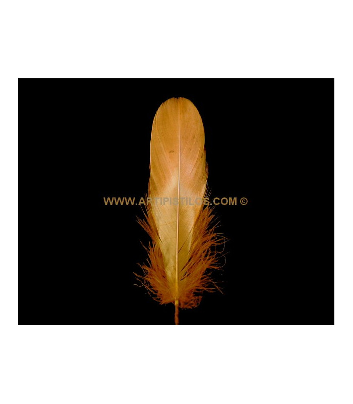 PLUME DE CANARD 15 CMS.