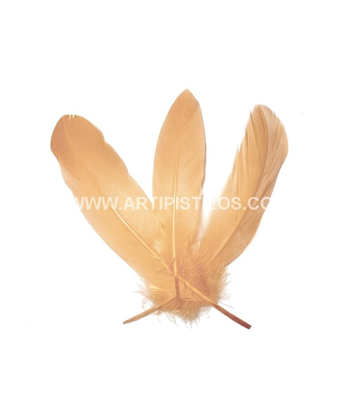 PLUME DE CANARD 15 CMS.