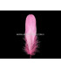 PLUME DE CANARD 15 CMS.
