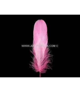 PLUME D'OIE GRATTÉE 15 CMS.