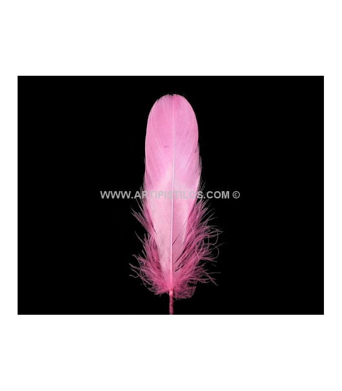 PLUME DE CANARD 15 CMS.
