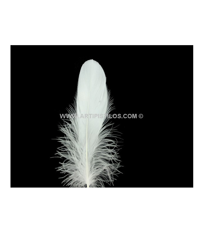 PLUME DE CANARD 15 CMS.