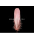 PLUME DE CANARD 15 CMS.