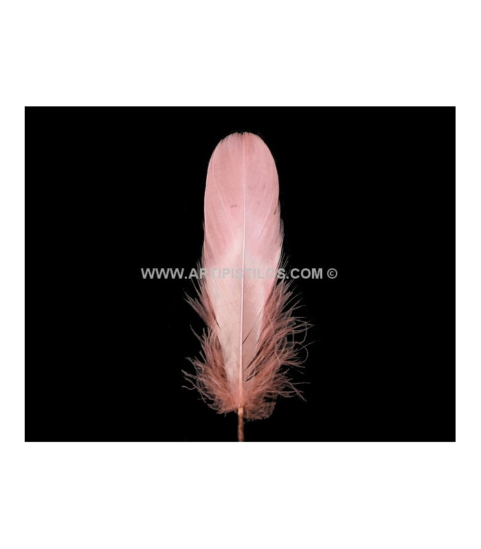 PLUME DE CANARD 15 CMS.