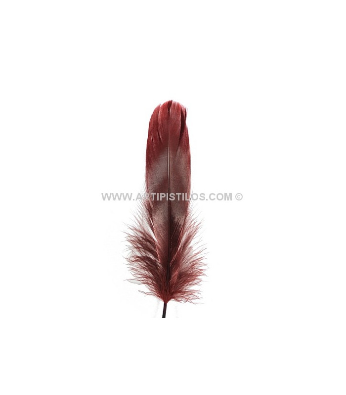 PLUME DE CANARD 15 CMS.