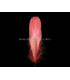 PLUME DE CANARD 15 CMS.