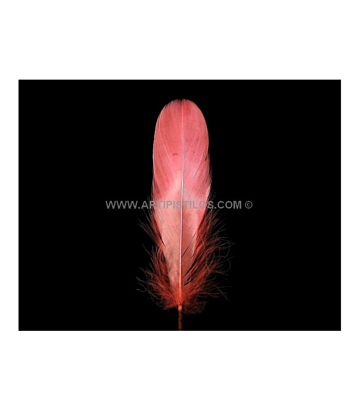 PLUME DE CANARD 15 CMS.