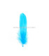 PLUME DE CANARD 15 CMS.