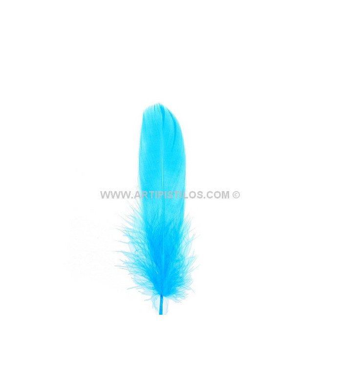 PLUME DE CANARD 15 CMS.