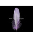 PLUME DE CANARD 15 CMS.