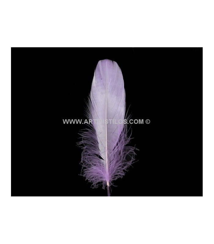 PLUME DE CANARD 15 CMS.