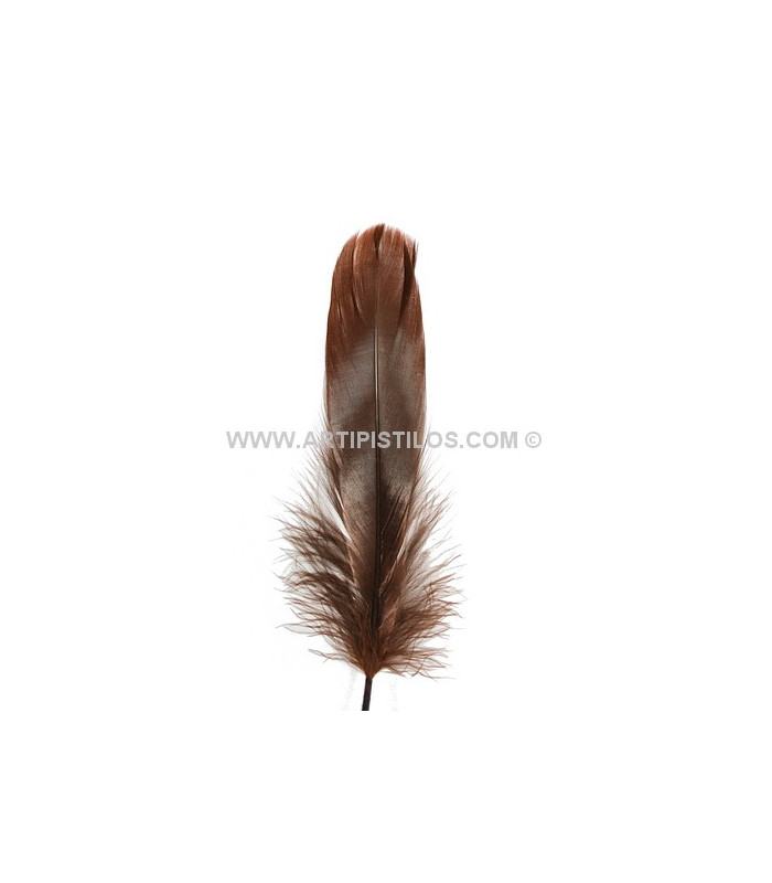 PLUME DE CANARD 15 CMS.