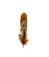 PLUME DE CANARD 15 CMS.