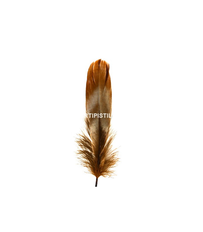 PLUME DE CANARD 15 CMS.