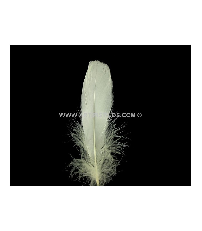 PLUME DE CANARD 15 CMS.