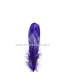 PLUME DE CANARD 15 CMS.
