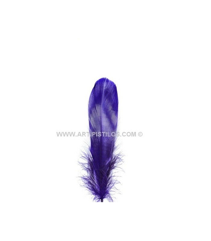 PLUME DE CANARD 15 CMS.