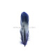 PLUME DE CANARD 15 CMS.