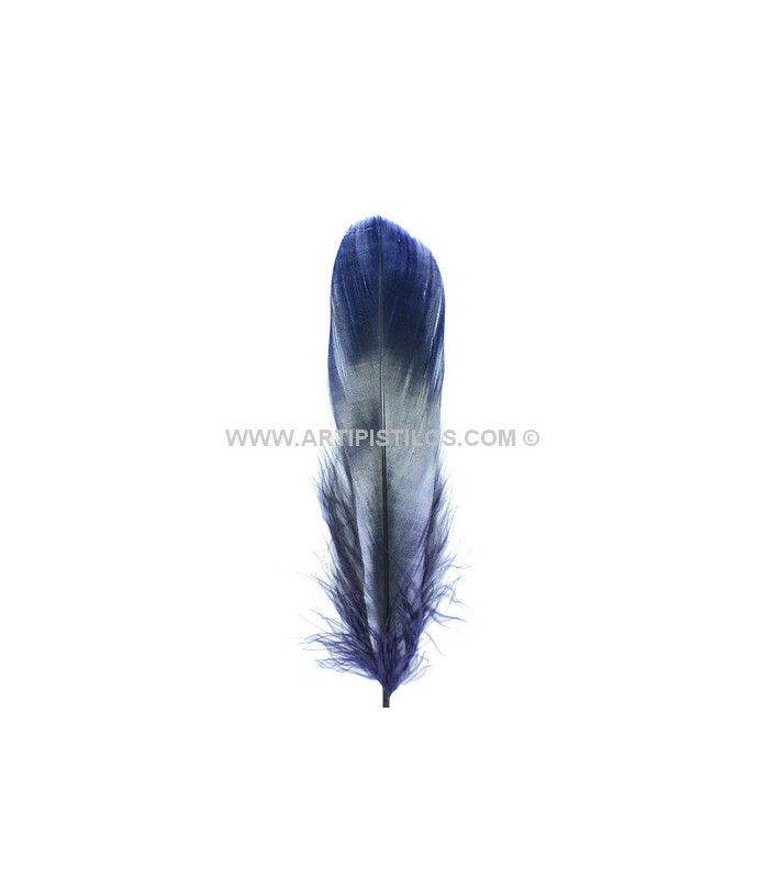 PLUME DE CANARD 15 CMS.