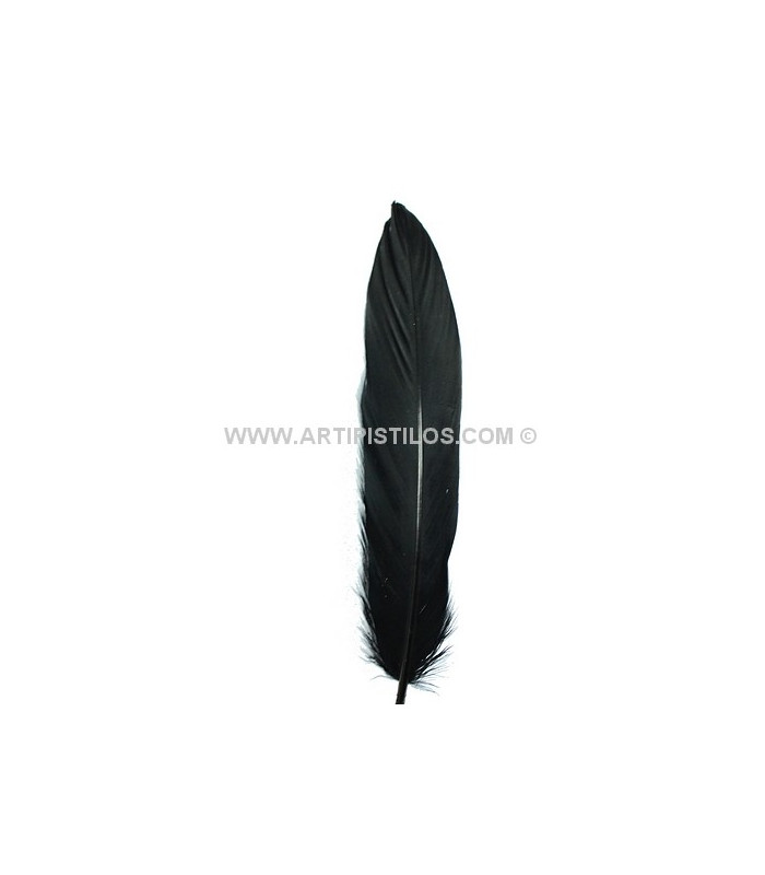 PLUME DE CANARD 15 CMS.