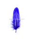 PLUME DE CANARD 15 CMS.