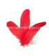 PLUME DE CANARD 15 CMS.