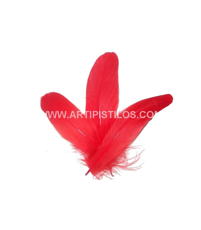 PLUME DE CANARD 15 CMS.