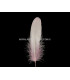 PLUME DE CANARD 15 CMS.