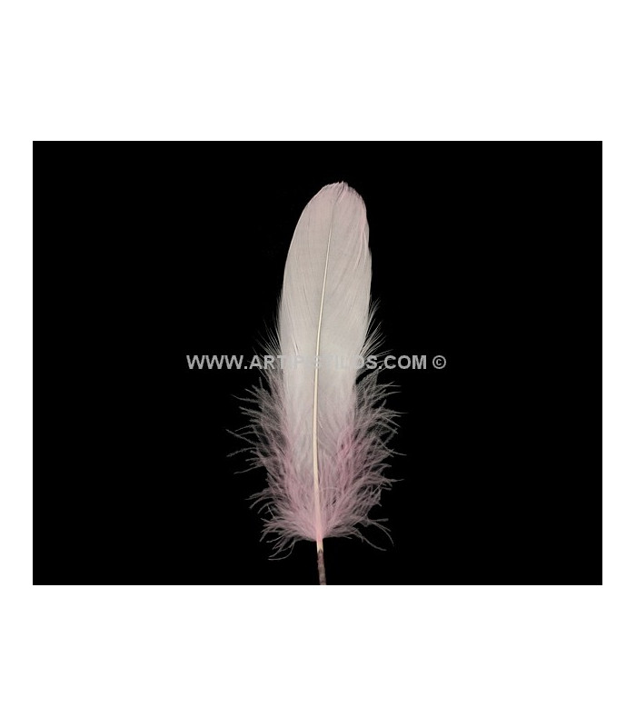 PLUME DE CANARD 15 CMS.
